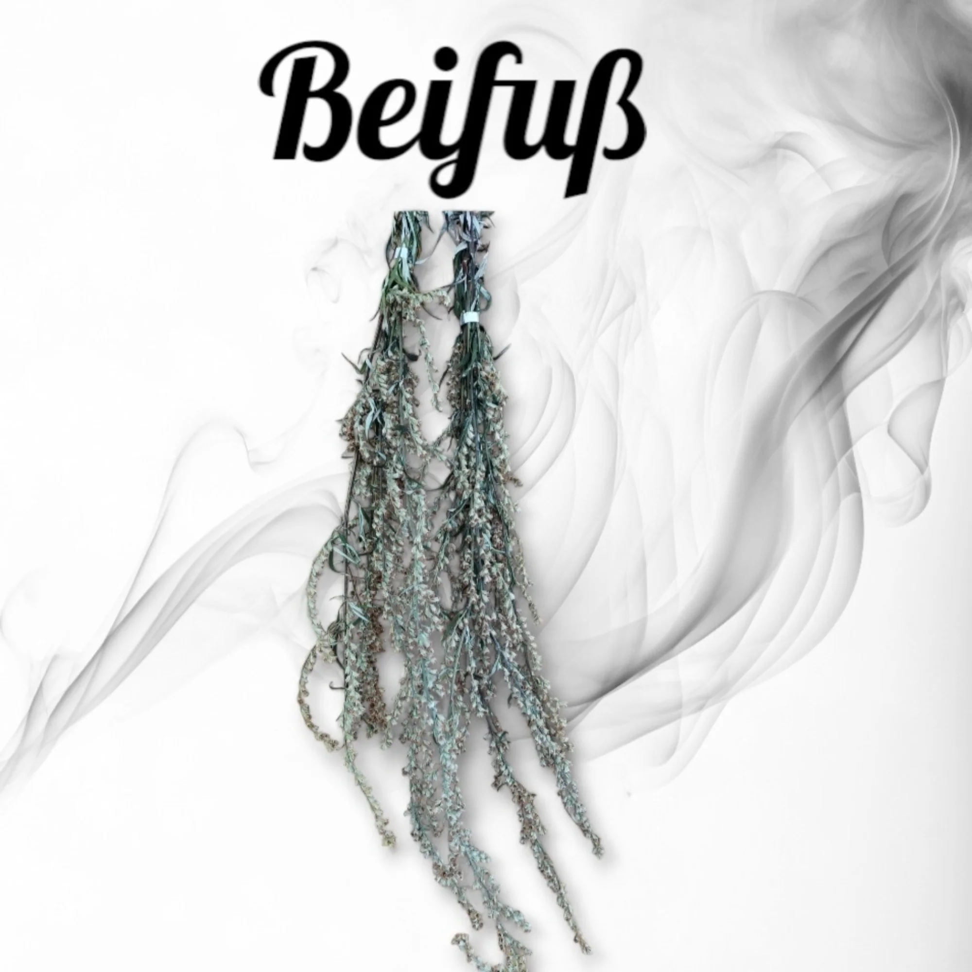 Beifuß - Hängendes Bündel